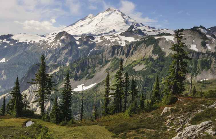 Escursione di un giorno a Mount Baker Highway da Bellingham / Washington