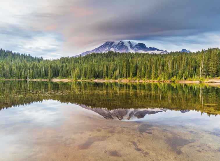 Parque Nacional Monte Rainier, Washington