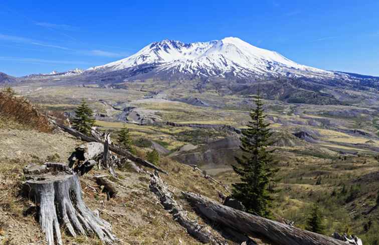 Mount St. Helens Onderdak en kamperen / Washington