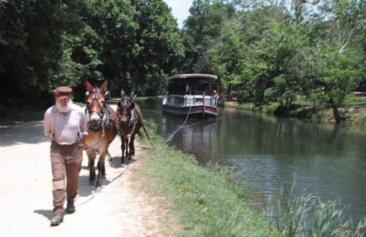 Mule-Drawn Canal Boat Rides Langs het C & O-kanaal / Washington, D.C..