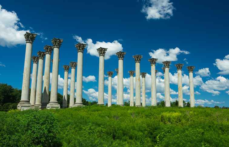 National Arboretum i Washington, DC / Washington, D.C..