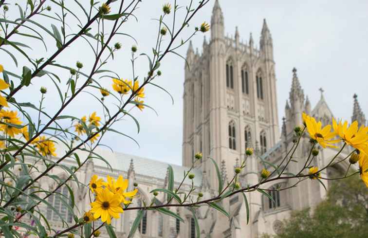 National Cathedral Flower Mart 2018 / Washington, D.C..