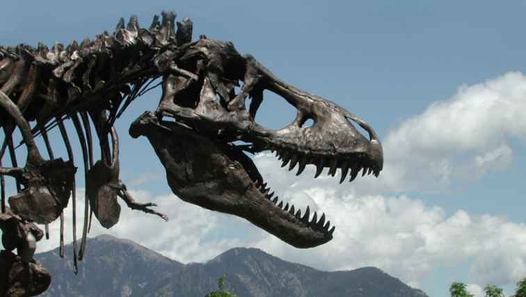 Salón ampliado de dinosaurios del Museo de Historia Natural / Washington DC.