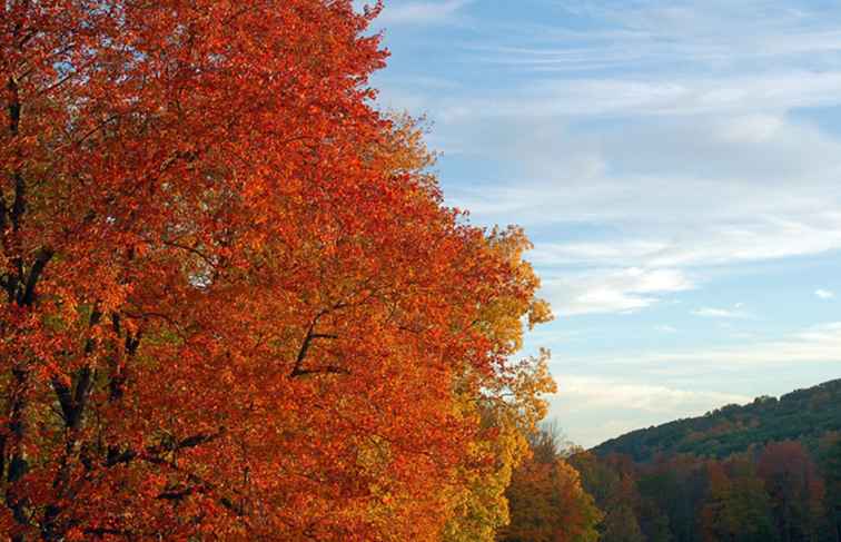 New England Fall Foliage wanneer te gaan / 