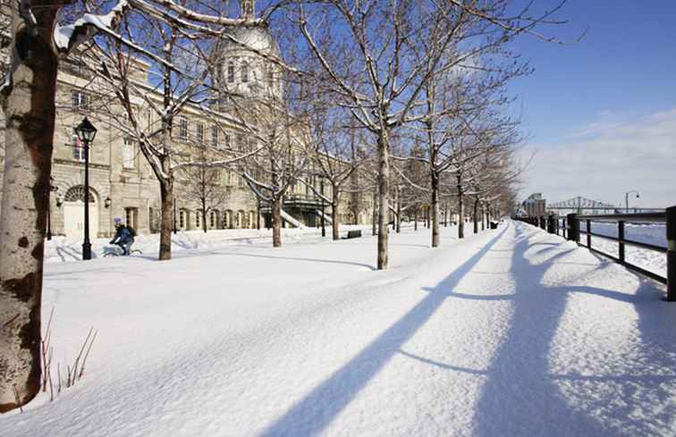 Novembre a Montreal Meteo, cosa mettere in valigia e cosa vedere / Montreal