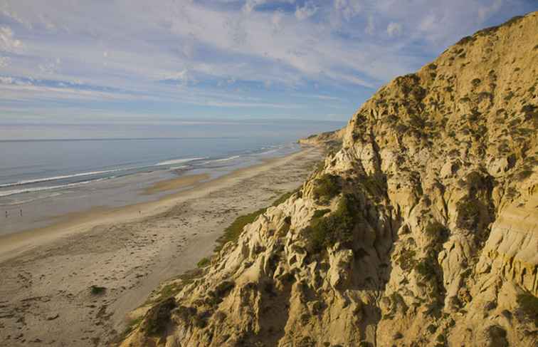 Loisirs nus à la plage noire de San Diego / Californie