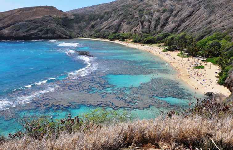 Riva sudorientale di Oahu e costa al vento