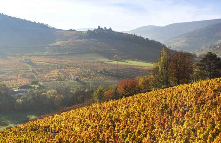 Ottobre in Francia Meteo, Cosa mettere in valigia e Cosa vedere / Francia