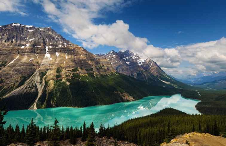 Peyto Lake, Alberta Een complete gids / 