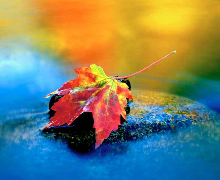 Herbstfarben fotografieren / 