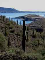 Sentier Pipeline Canyon - Randonnée Lake Pleasant - Lake Pleasant, AZ / Arizona