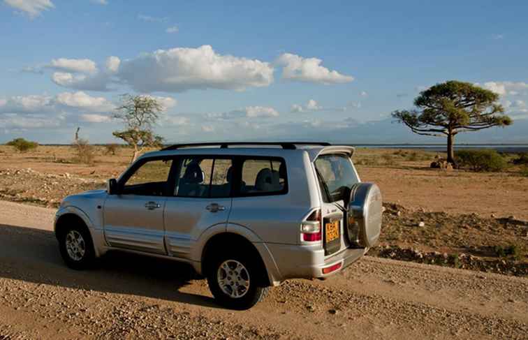 Organizza il tuo safari con la guida di distanze in Kenya