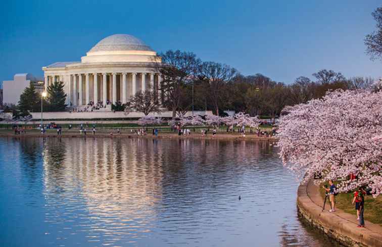 Planifica tus actividades de vacaciones de primavera en Washington, DC / Washington DC.