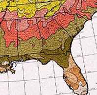 Pflanze Hardiness Zone in Memphis, Tennessee / Tennessee