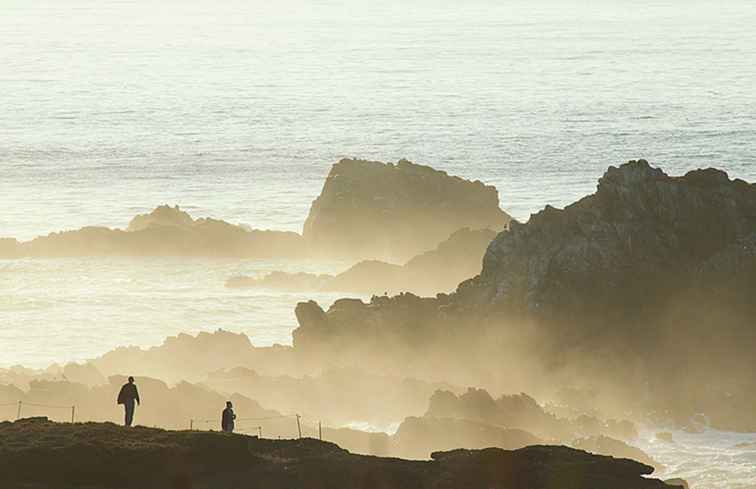 Point Lobos Un guide complet / Californie