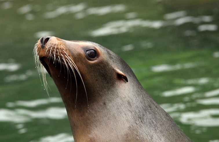 Prospect Park Zoo / NewYork