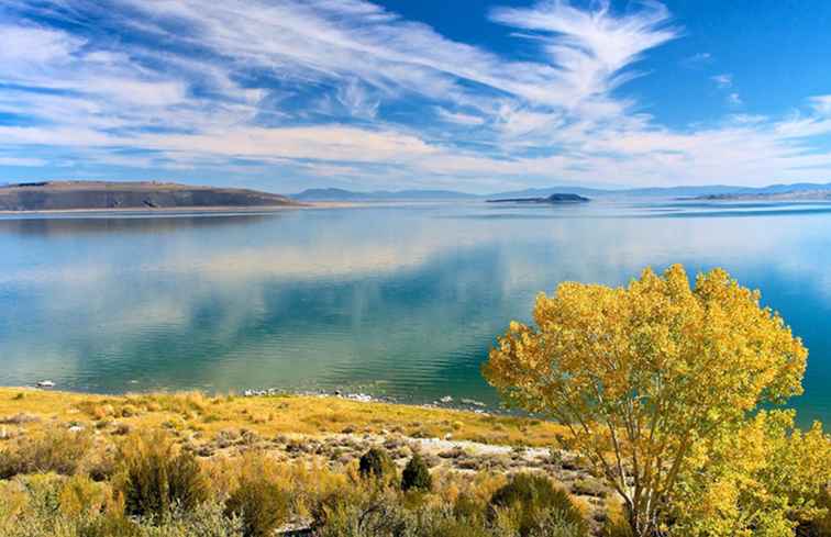 Skäl att besöka odd och intressant Mono Lake / kalifornien