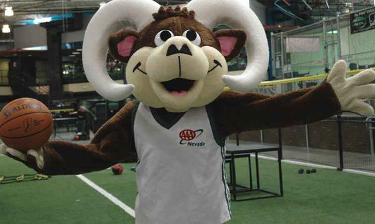 Reno Bighorns Basketplan / Nevada