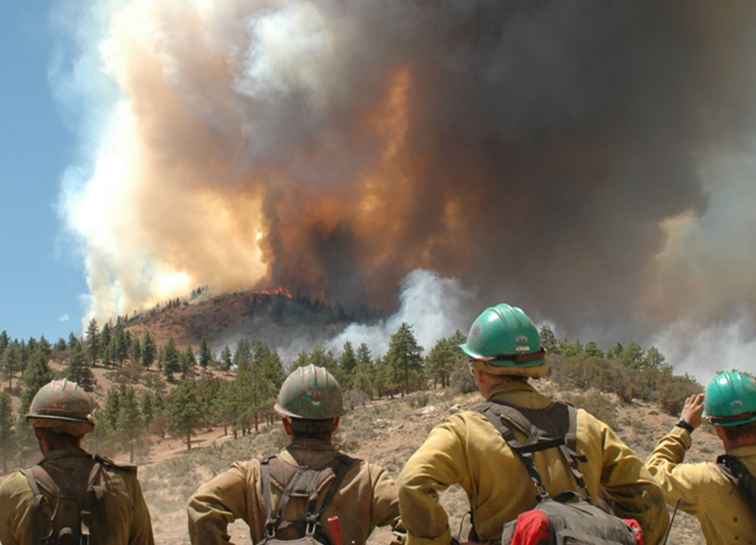 Reno / Tahoe Wildfire Safety / Nevada