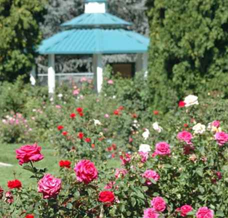 Rentable Park Shelters und Pavillons in der Reno-Gegend / Nevada