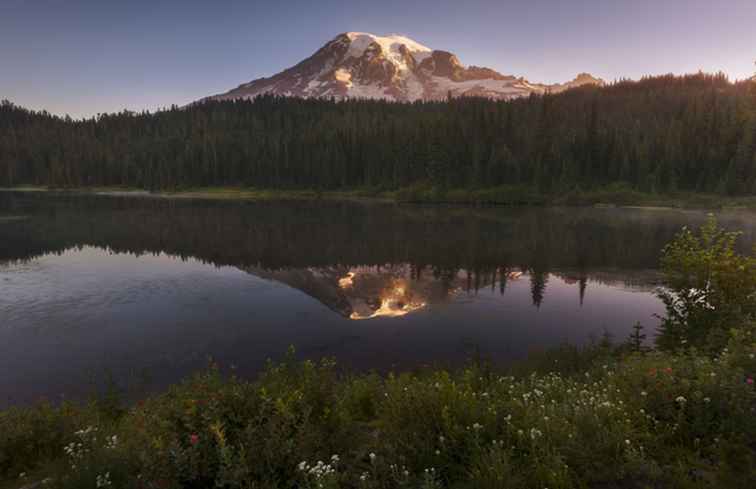 RV Destination Mount Rainier Nationalpark / Washington