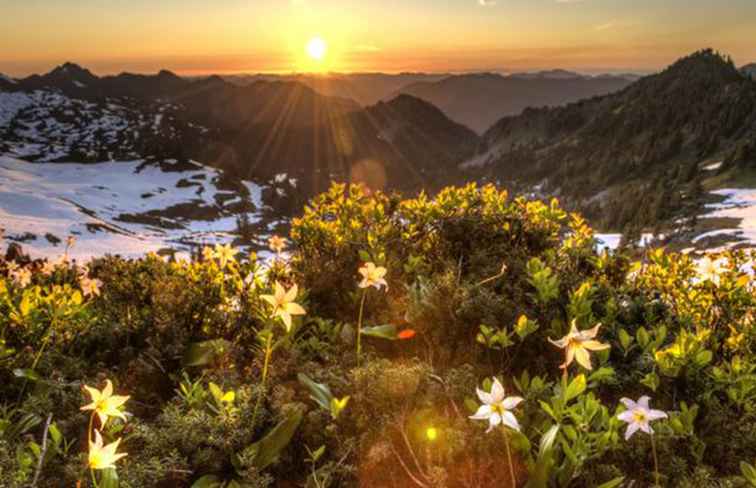 RV Destination Olympic National Park / Washington