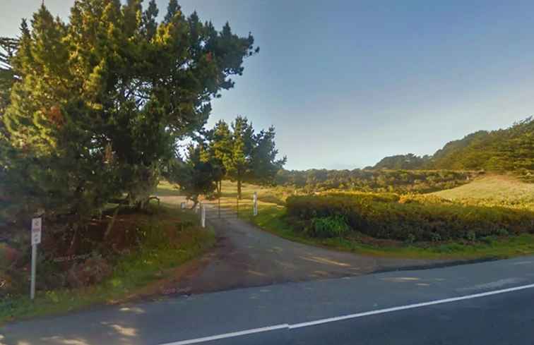 San Gregorio Nude Beach / Californie