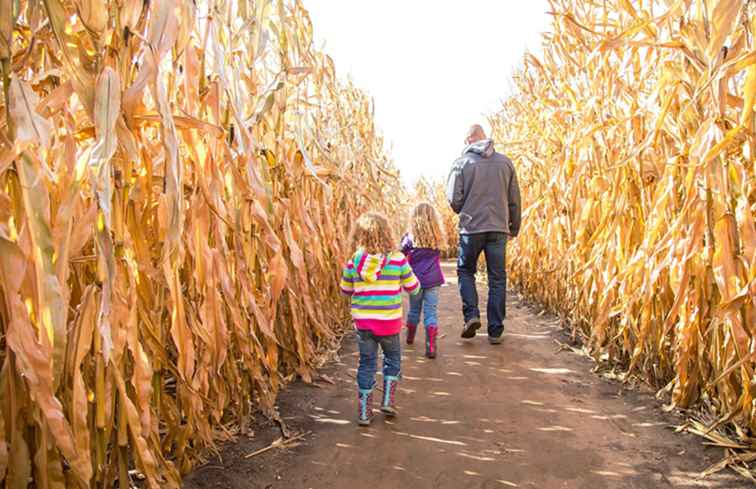 Tombe di mais di Seattle e toppe di zucca / Washington