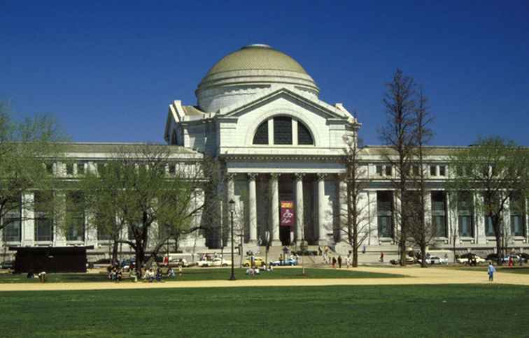 Musée national d'histoire naturelle du Smithsonian / Washington DC.