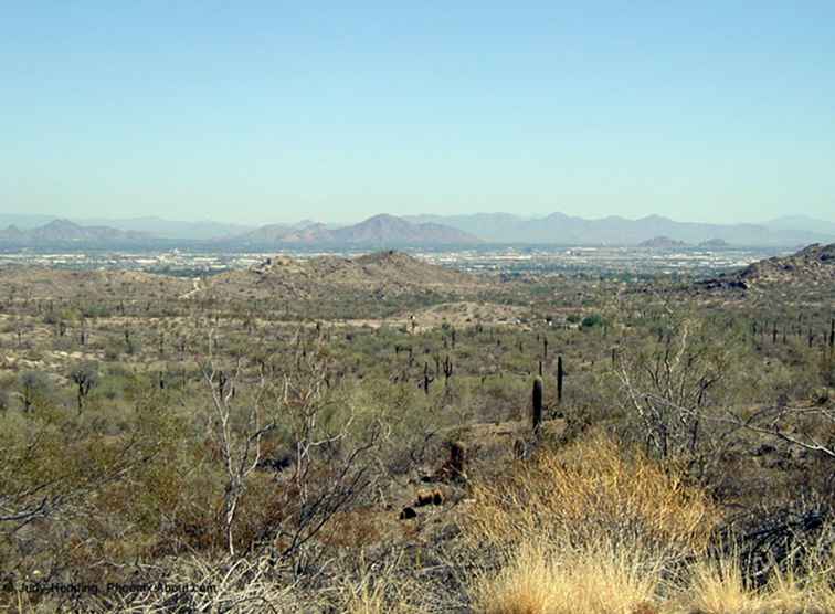 Parque y senderos de South Mountain / Arizona