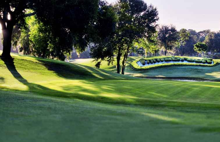 Übernachten und spielen Sie das Innisbrook Resort, Tampa, Florida