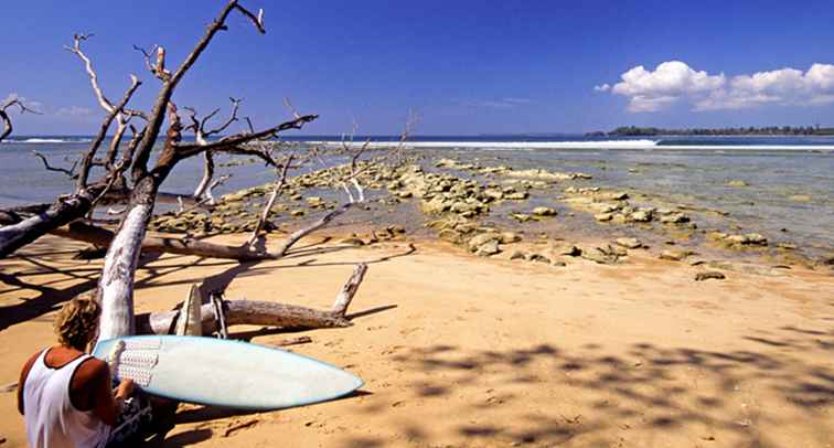 Surfear en India 9 mejores lugares para practicar surf y obtener lecciones / 