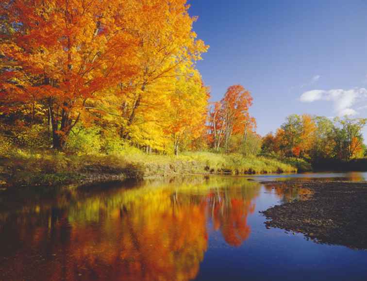 De beste New England Fall Foliage Tours / 