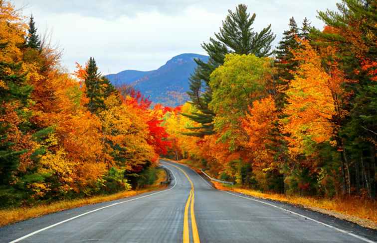 De beste songs voor uw Fall Road Trip-afspeellijst / 