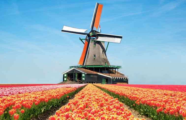 Den väsentliga guiden till Keukenhof Flower Gardens nära Amsterdam / Europa