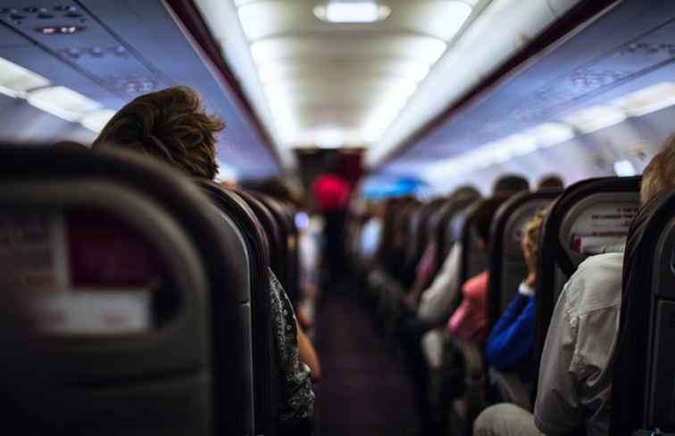 Die größte Fluggesellschaft der Welt nach Passagierzahl