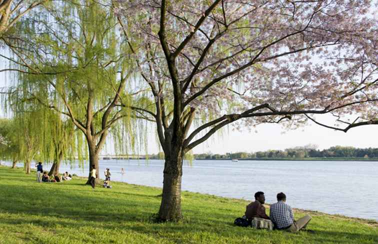 Le fleuve Potomac Un guide sur le front de mer de Washington DC / Washington DC.