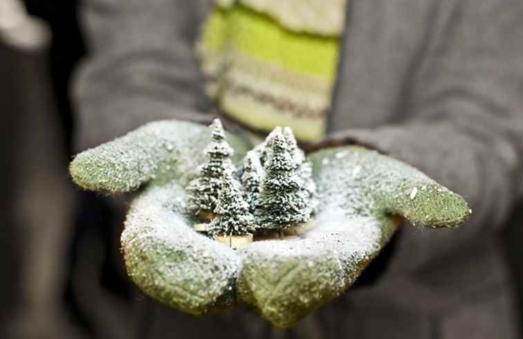 La chanson Noël dans le nord-ouest / Washington