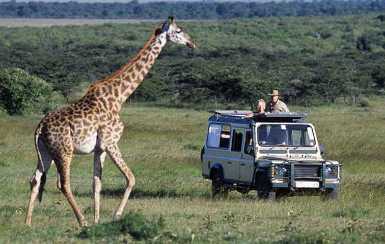 Le guide ultime pour choisir le bon safari pour vous