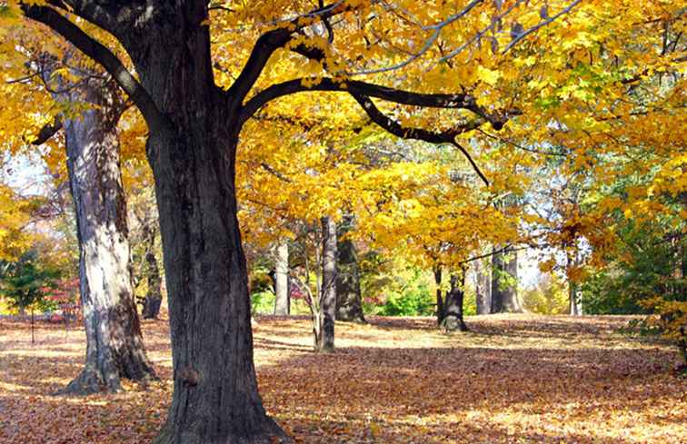I 10 parchi Louisville più popolari
