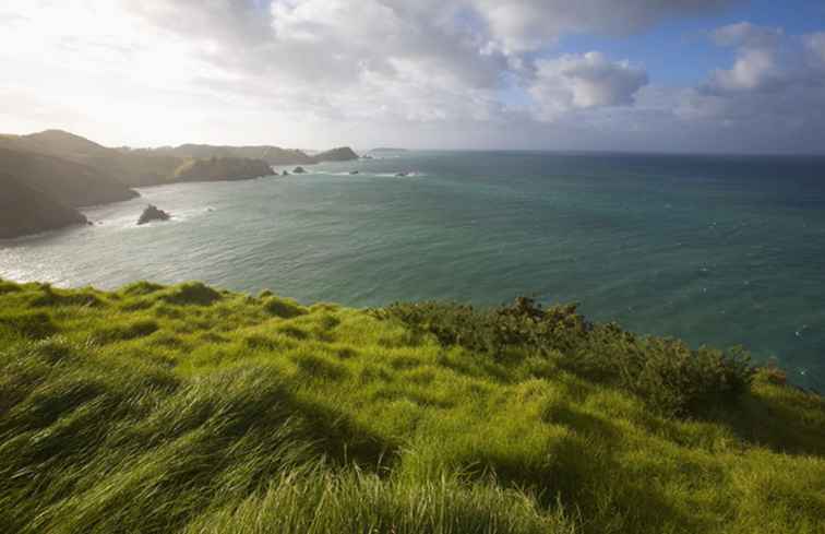 Top 9 stranden in het uiterste noorden van Nieuw-Zeeland
