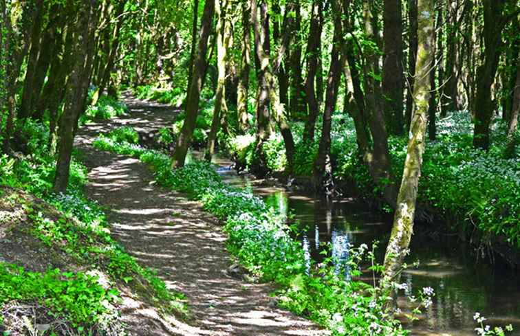 Dos caminatas fáciles cerca de la costa de Pembrokeshire