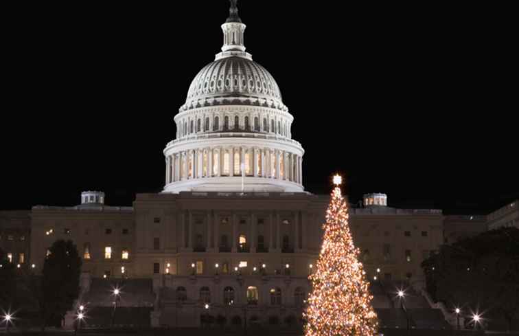 U.S. Capitol Christmas Tree 2017 in Washington, D.C. / Washington, D.C..