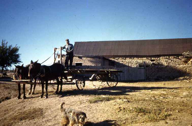 Besök El Rancho de las Golondrinas / NewMexico