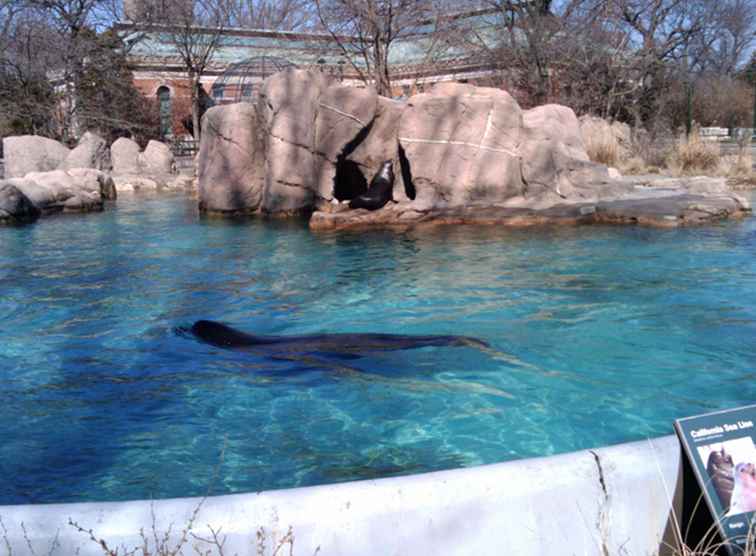 Besök över 4.000 djur vid Bronx Zoo / NewYork