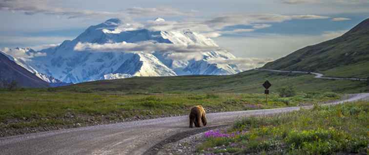Visitare l'Alaska per terra o in crociera