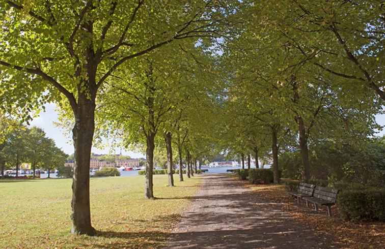 Visite à pied du Djurgården (Djurgarden) de Stockholm