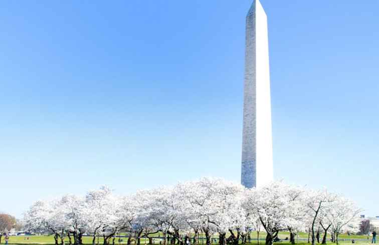 Washington Monument (Tickets, Besuchstipps und mehr) / Washington, D.C.