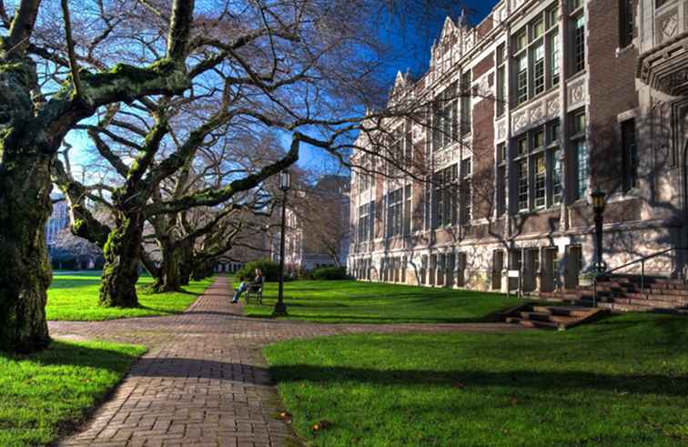 Washington State Universität Profile / Washington