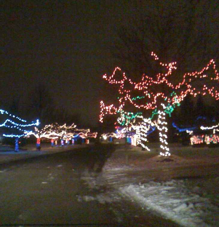 Winterweer in Metro Detroit / Michigan